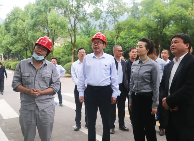九江市政府党组成员、副市长容长贵率队赴赣北钨业开展安全生产检查